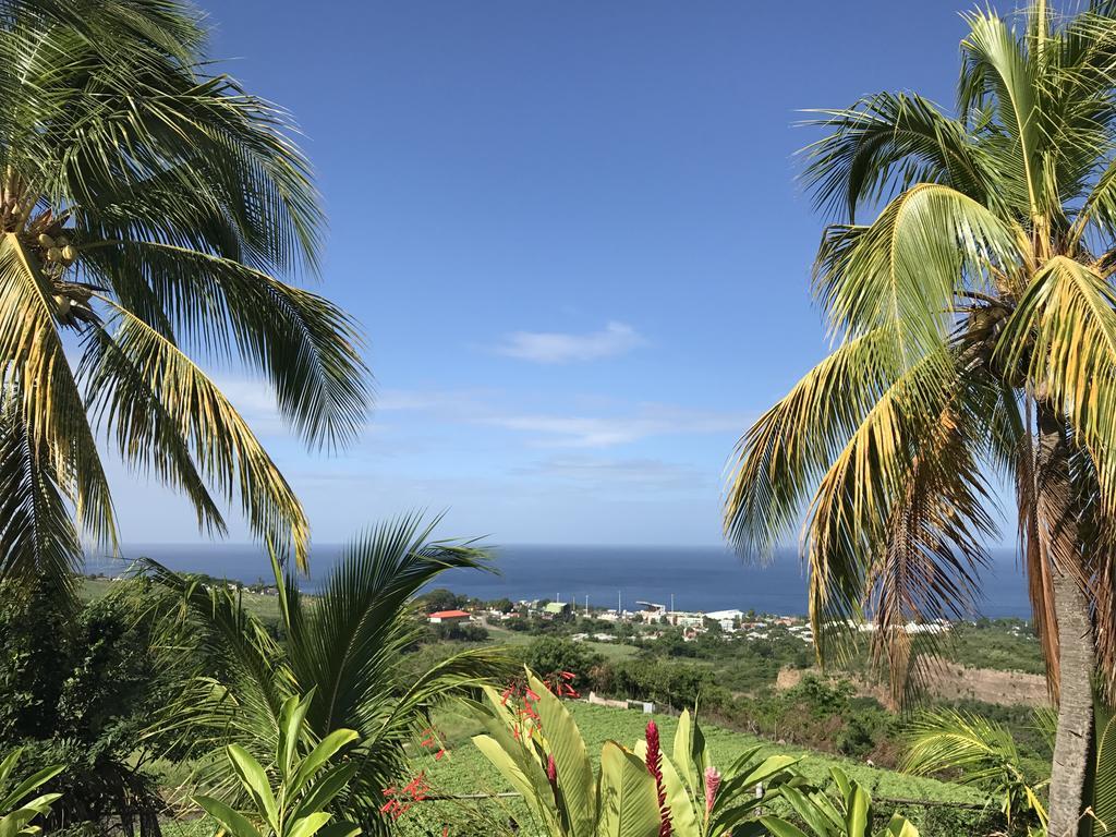 Residence Paradis Tropical Basse-Terre Dış mekan fotoğraf