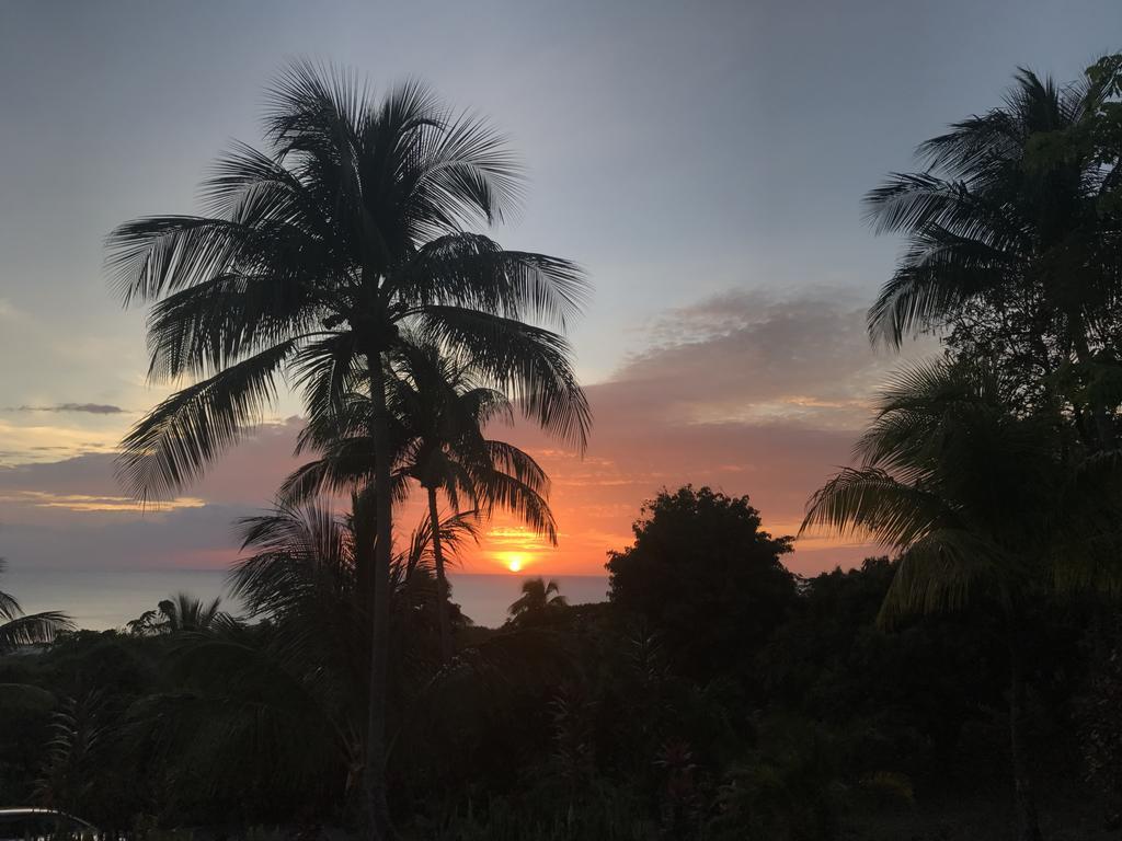 Residence Paradis Tropical Basse-Terre Dış mekan fotoğraf