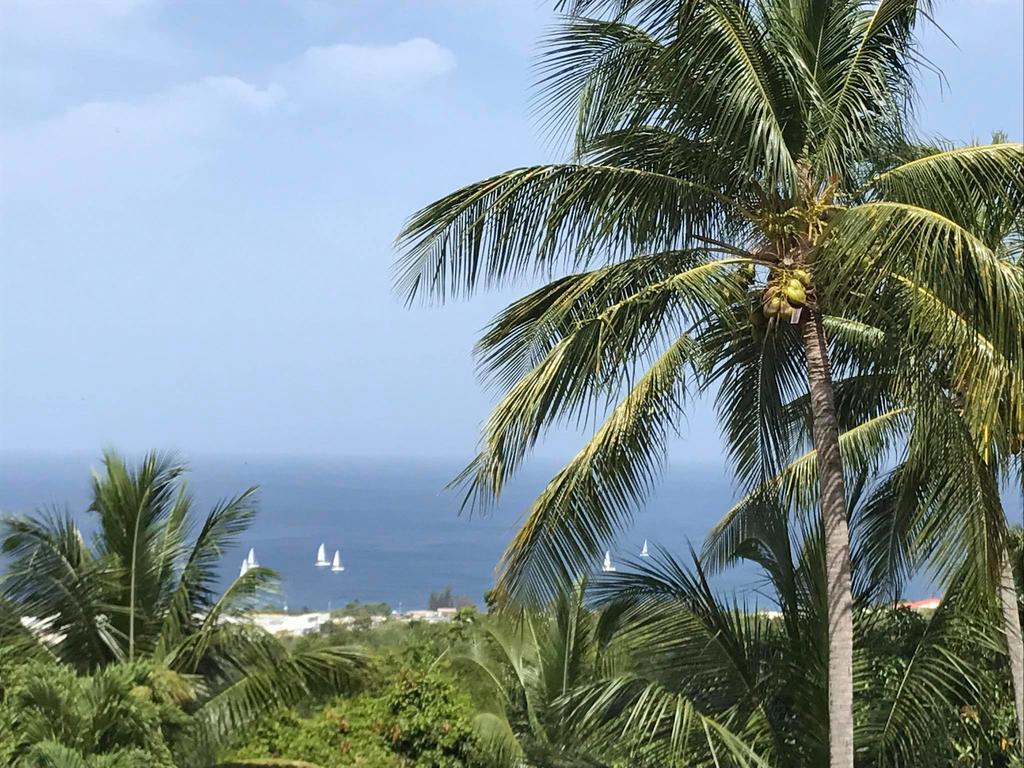 Residence Paradis Tropical Basse-Terre Dış mekan fotoğraf