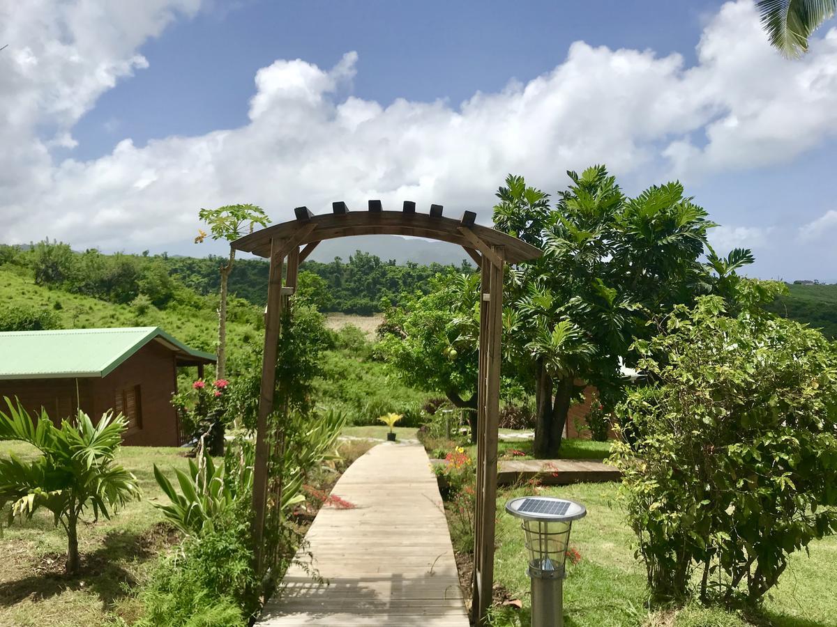 Residence Paradis Tropical Basse-Terre Dış mekan fotoğraf