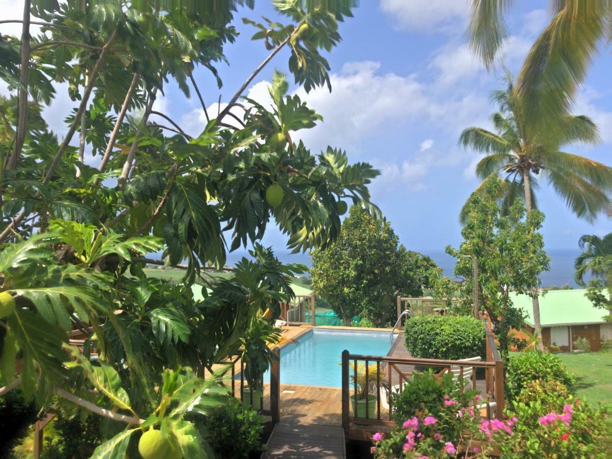 Residence Paradis Tropical Basse-Terre Dış mekan fotoğraf