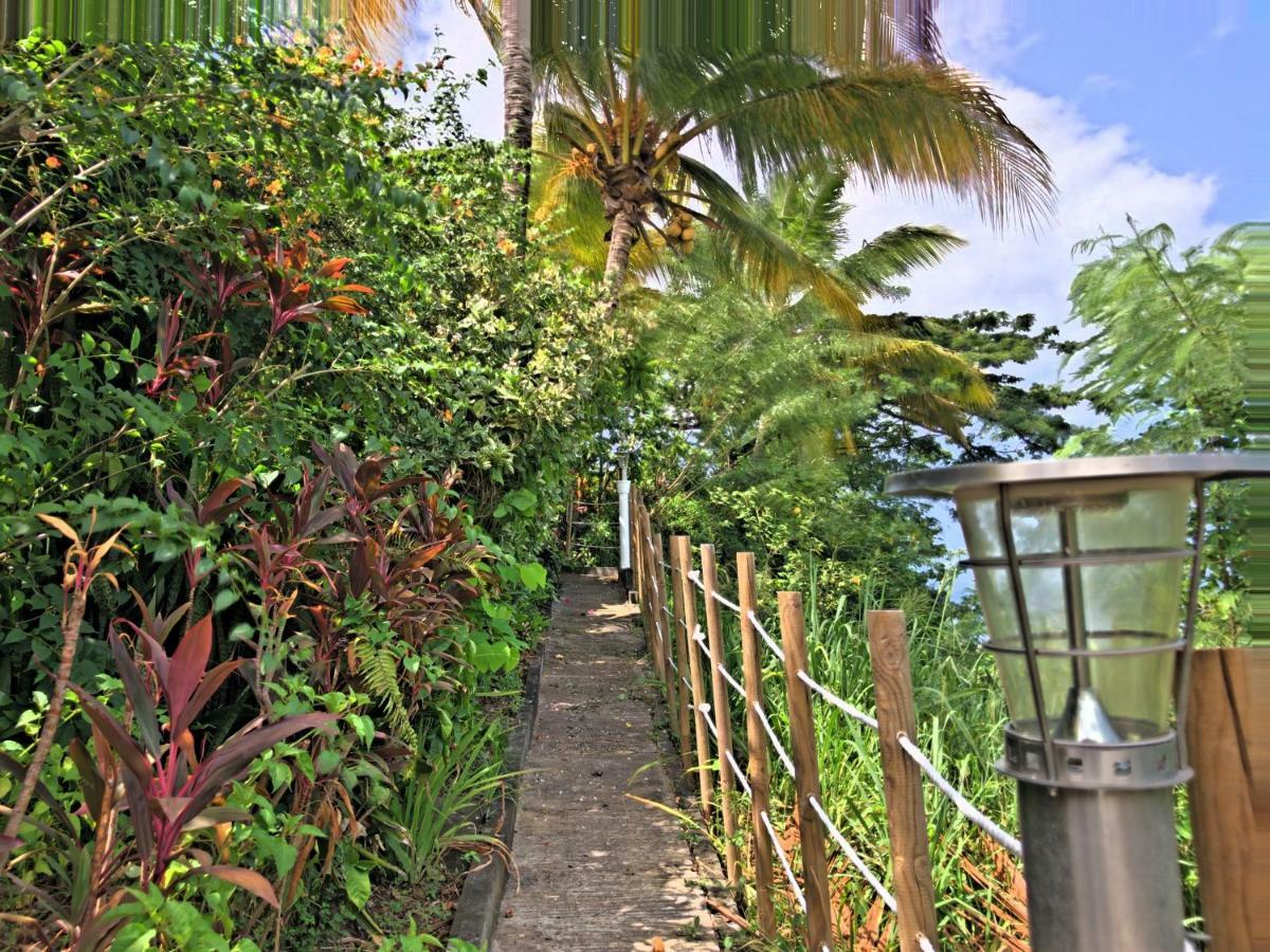 Residence Paradis Tropical Basse-Terre Dış mekan fotoğraf