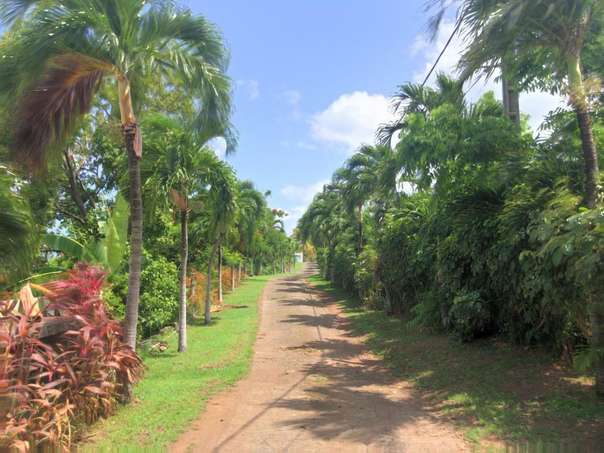 Residence Paradis Tropical Basse-Terre Dış mekan fotoğraf