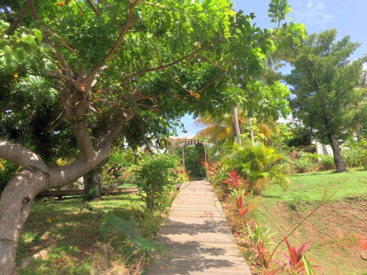 Residence Paradis Tropical Basse-Terre Dış mekan fotoğraf