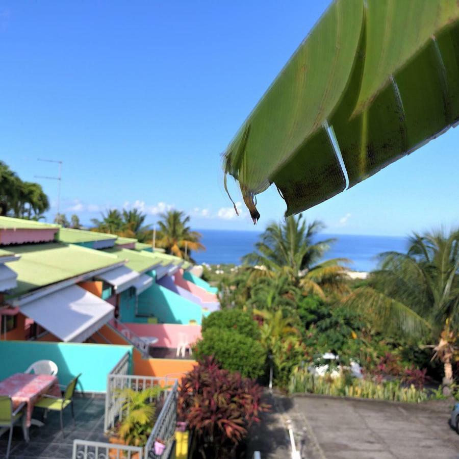Residence Paradis Tropical Basse-Terre Dış mekan fotoğraf