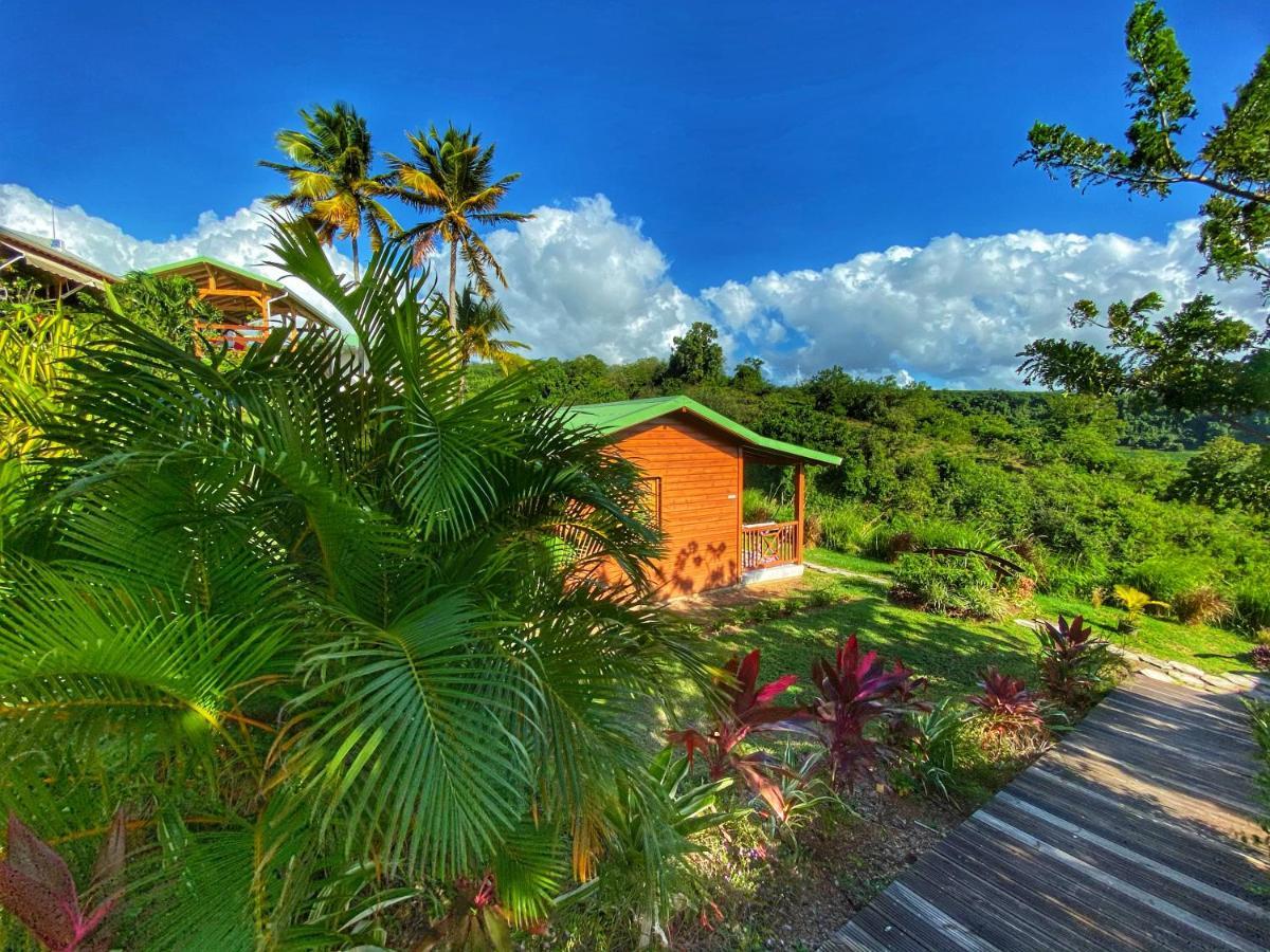 Residence Paradis Tropical Basse-Terre Dış mekan fotoğraf
